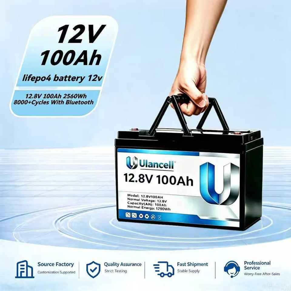 12V/24V LiFePO4 Battery Pack
