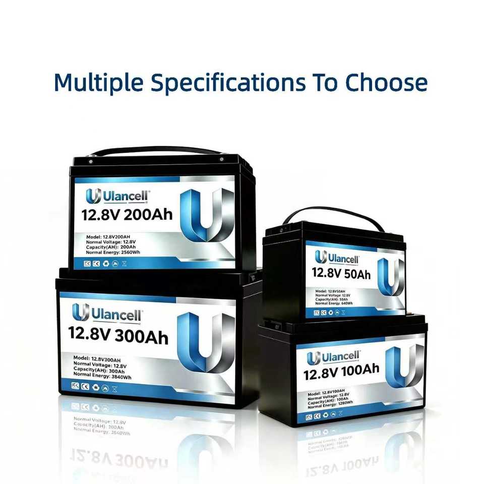 More Models LiFePO4 Battery Pack